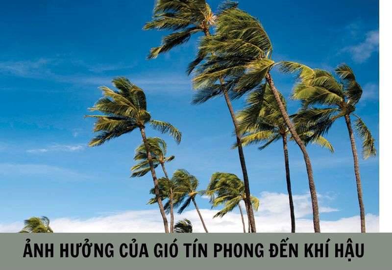 Ảnh hưởng của gió tín phong đến đời sống