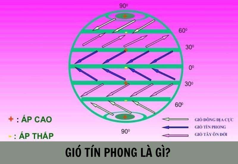 Gió tín phong, hay còn được biết đến với tên gọi gió mậu dịch, là một loại gió thổi đều đặn từ vùng áp cao cận nhiệt đới