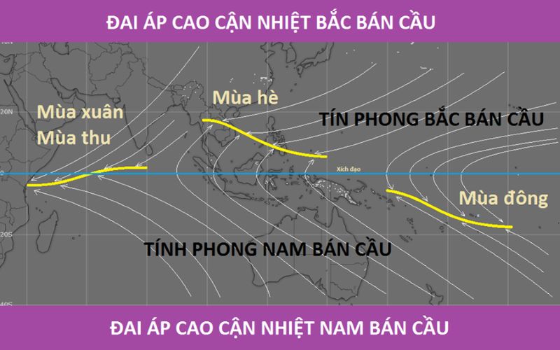 Gió tín phong xuất hiện ở hai bên đường xích đạo, kéo dài từ vĩ độ 5° đến 30° ở cả hai bán cầu Bắc và Nam.