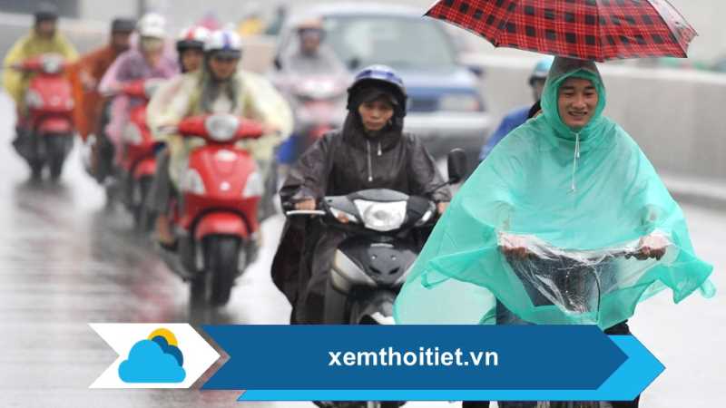 Thời tiết 11/03/2025